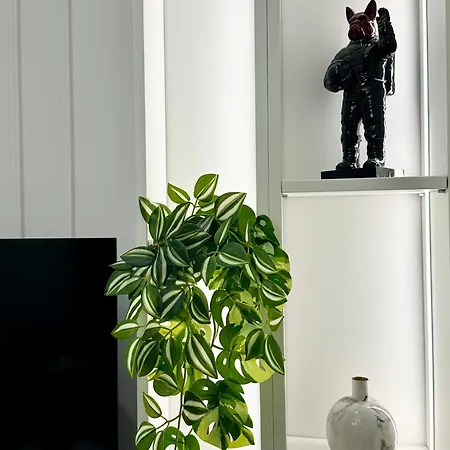 Szekely At Andrassy -szm4